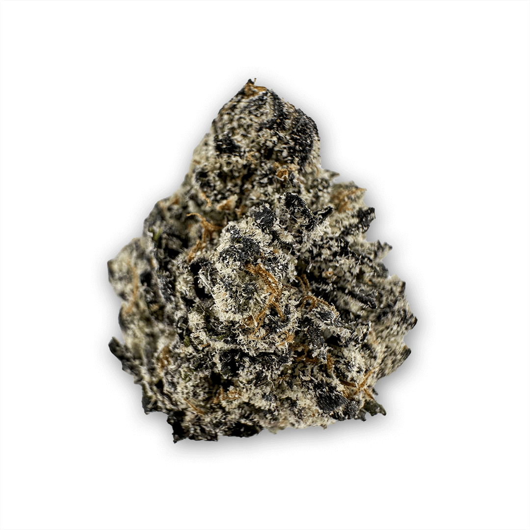 Black Cherry Gelato Cannabis Flower PHALT